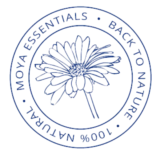 Logo transparent background2