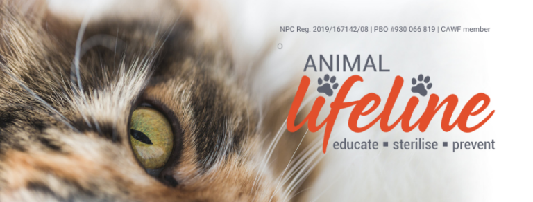 animal lifeline banner 768x292